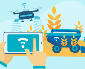 Agriculture Food Natural Resources